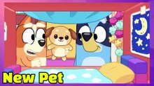 NEW IDEAS For Bluey Season 4