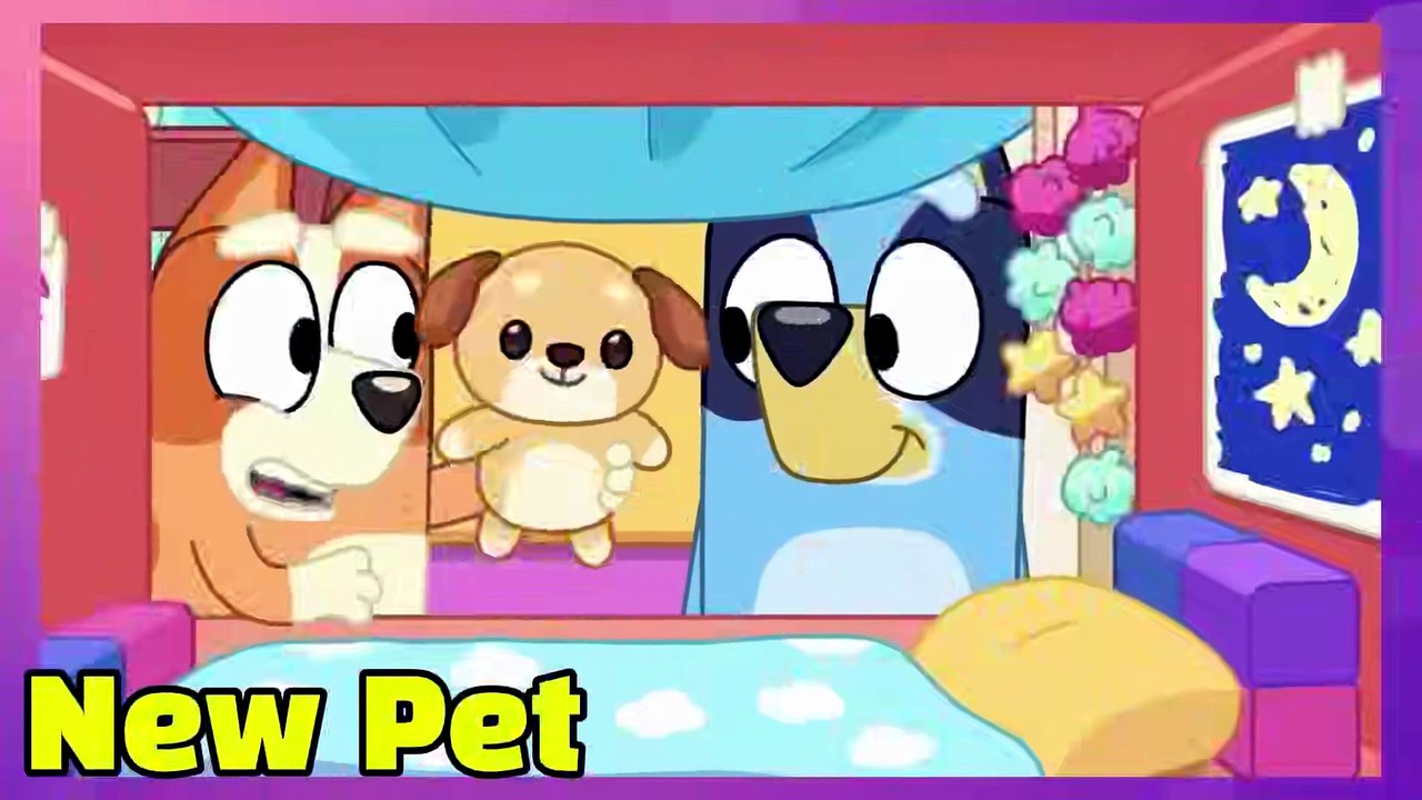 NEW IDEAS For Bluey Season 4