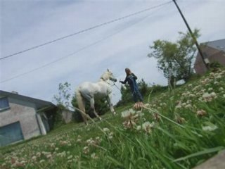 Travail a pied mic mac indiana