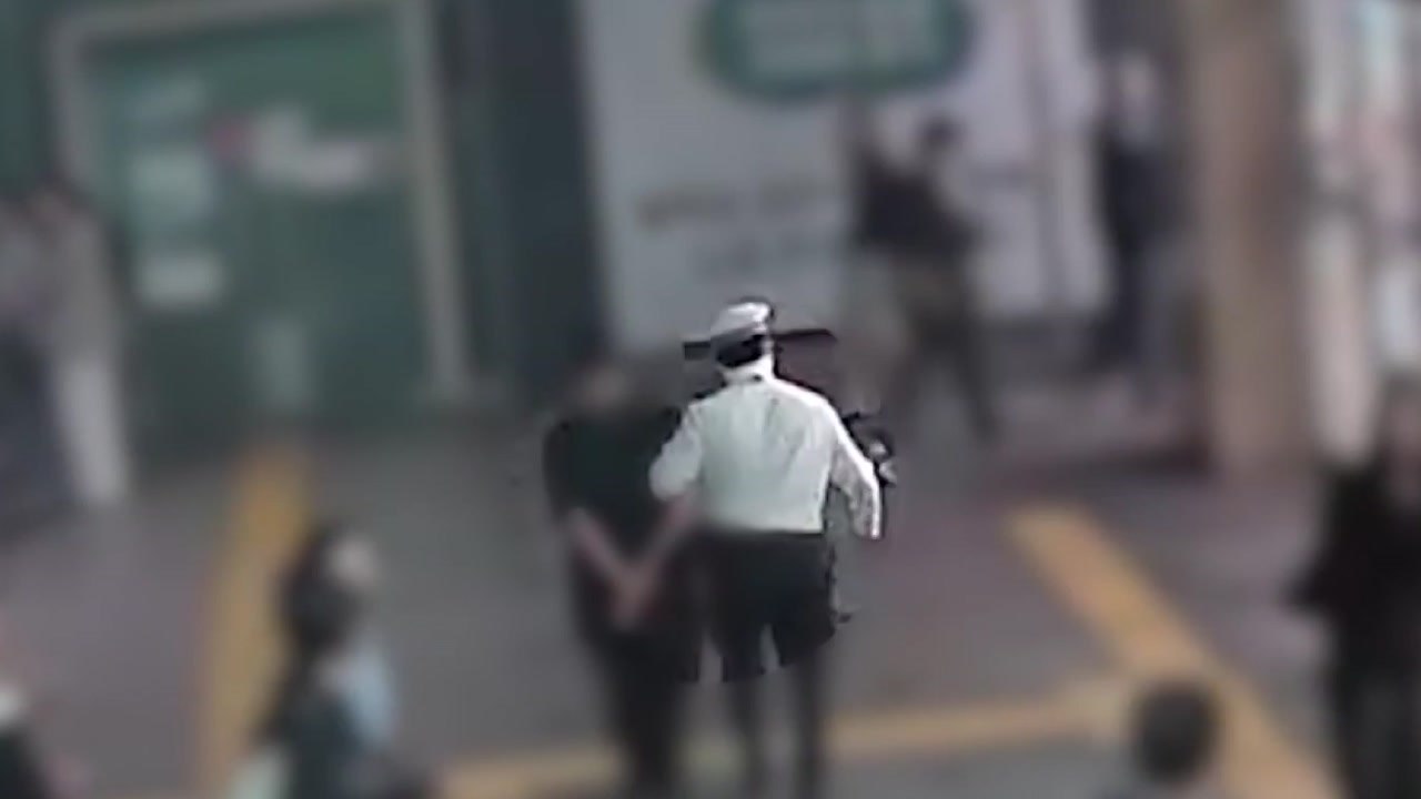 무단횡단 잡고 보니 수배자...경찰, 불법체류자 체포 / YTN