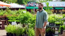 LE JARDIN DE L'AMOUR _ Film Netflix complet en Français HD