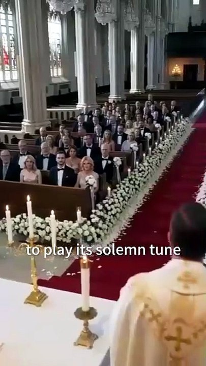 The Alpha Queen's Stolen Son
