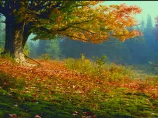 Puff the magic dragon + lyrics