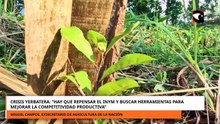 Exsecretario de Agricultura de Nación opinó sobre la crisis yerbatera