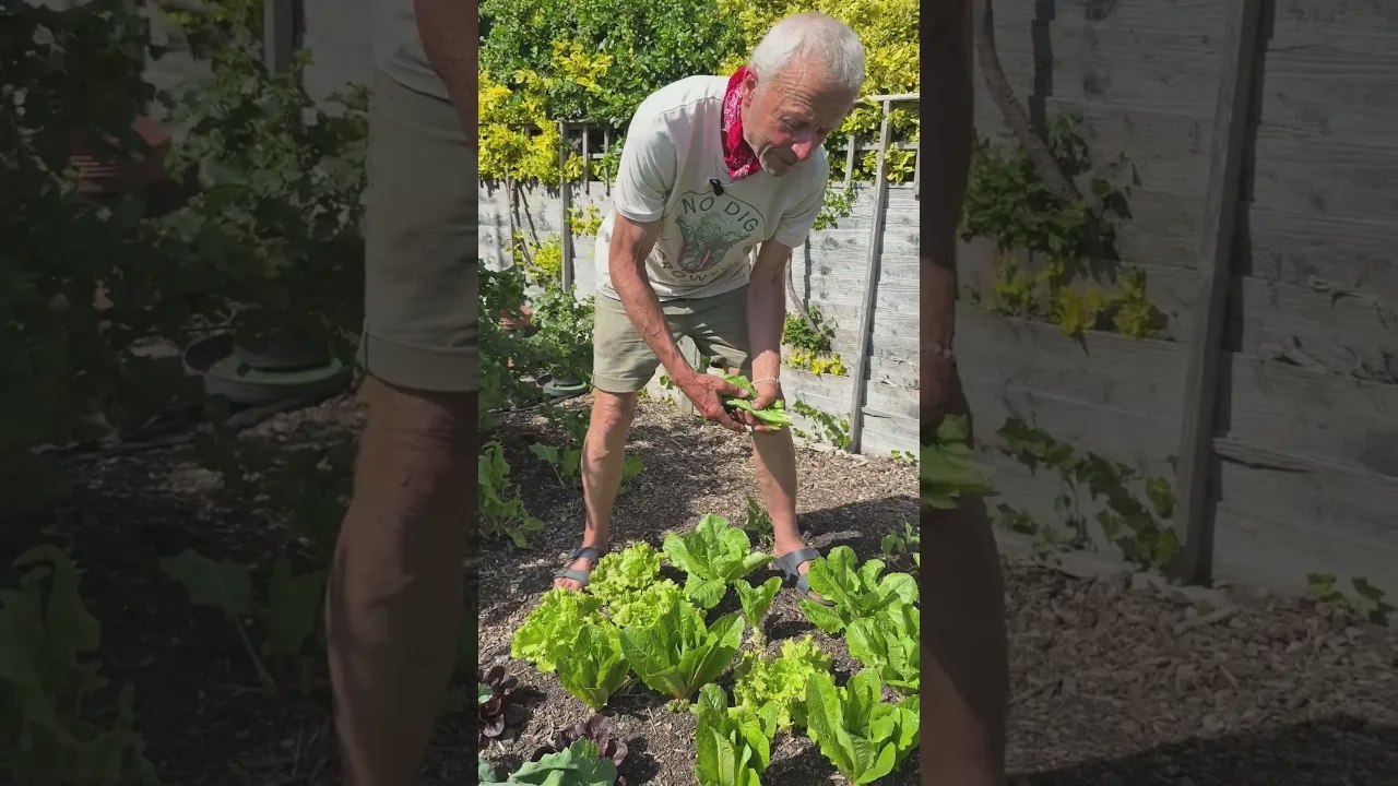 Arroser ses plantes selon leur taille et leur maturité : les bons gestes