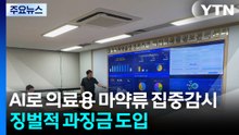 AI로 의료용 마약류 집중감시..."징벌적 과징금 도입" / YTN