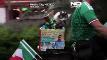 Пёс-спасёнка Осито покоряет сердца на чемпионате мира
