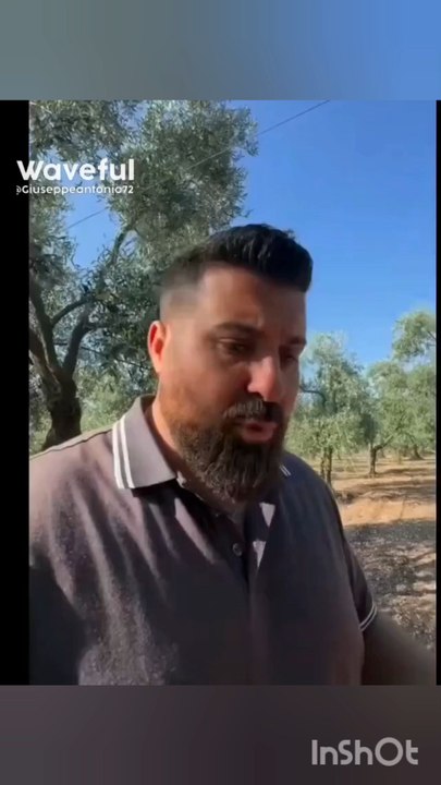 Michele monopoli story la sorpresa della mattina