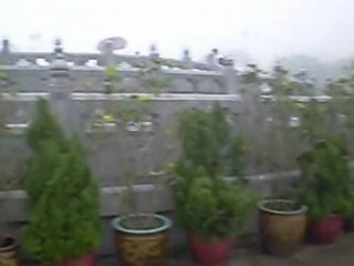 Le Temple du grand Bouddha de Hong Kong sous la pluie