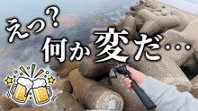 【穴釣り】普通じゃない！釣れ過ぎるのに何かがおかしい…