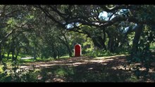 A Big Bold Beautiful Journey Bande-annonce (IT)
