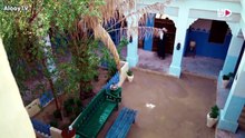غناوي الشوق رمضان 2026 حلقة 2