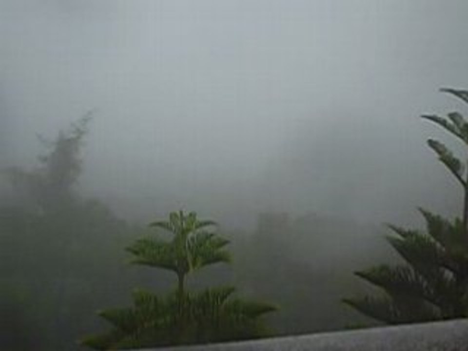 Le grand Bouddha dans le brouillard, la pluie et le vent !