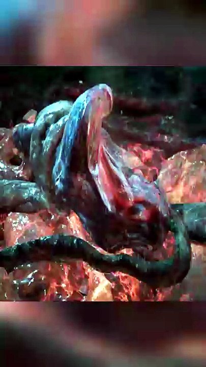 Vamos al cemeterio Locus 🔫 #gearsofwar #gaming #gearsofwar4  #jcophn