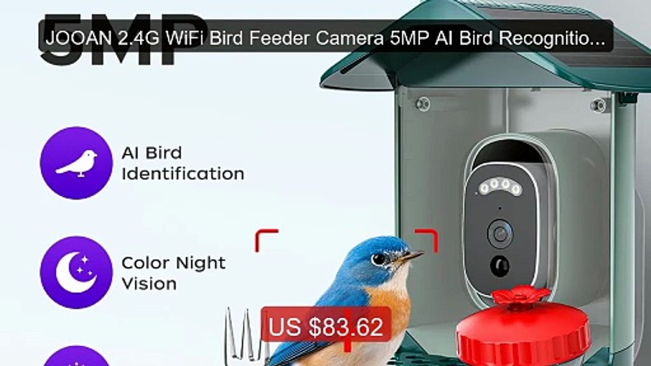 JOOAN 2.4G WiFi Bird Feeder Camera 5MP AI Bird Recognition Ni... -- Amazing Value 2026 | Must Have!