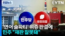 '연어 술파티' 위증 판결에 민주 "재판 잘못돼"...이번 주 선관위 국정조사 / YTN