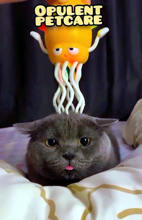 Octopus Toy