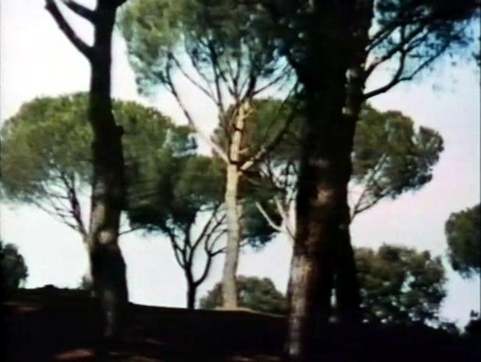 Dopo Di Che, Uccide Il Maschio E Lo Divora -1971