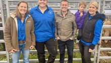 Northwood Highland Auction Open Day