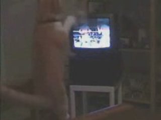 Cha fait de la boxe thai