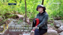 노인성 염증 질환 극복 1% 비밀은? 만성 염증 천연 해독제 '자연 속 걷기'