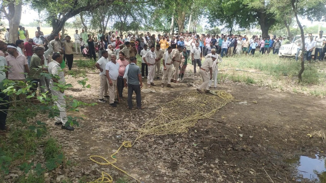 घंटों से पेड़ पर बैठा है पैंथर, मौके पर वन विभाग व पुलिस की टीमें तैनात