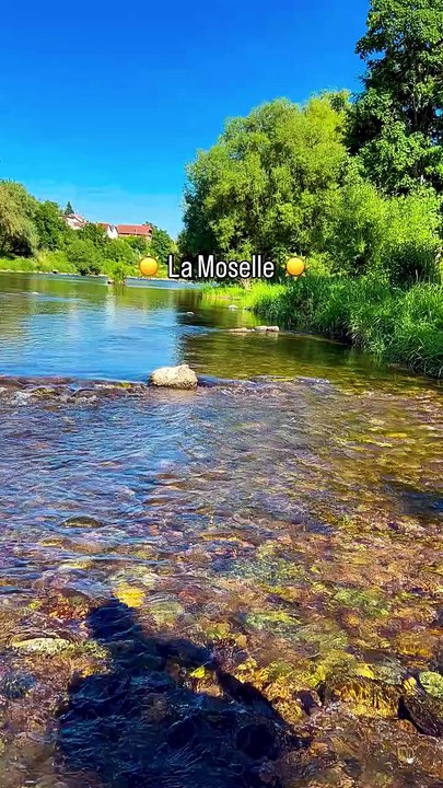 ☀️ 28_05_2026 La rivière de la Moselle, dans les Vosges, village de Charmes. Photo prise direct.mp4