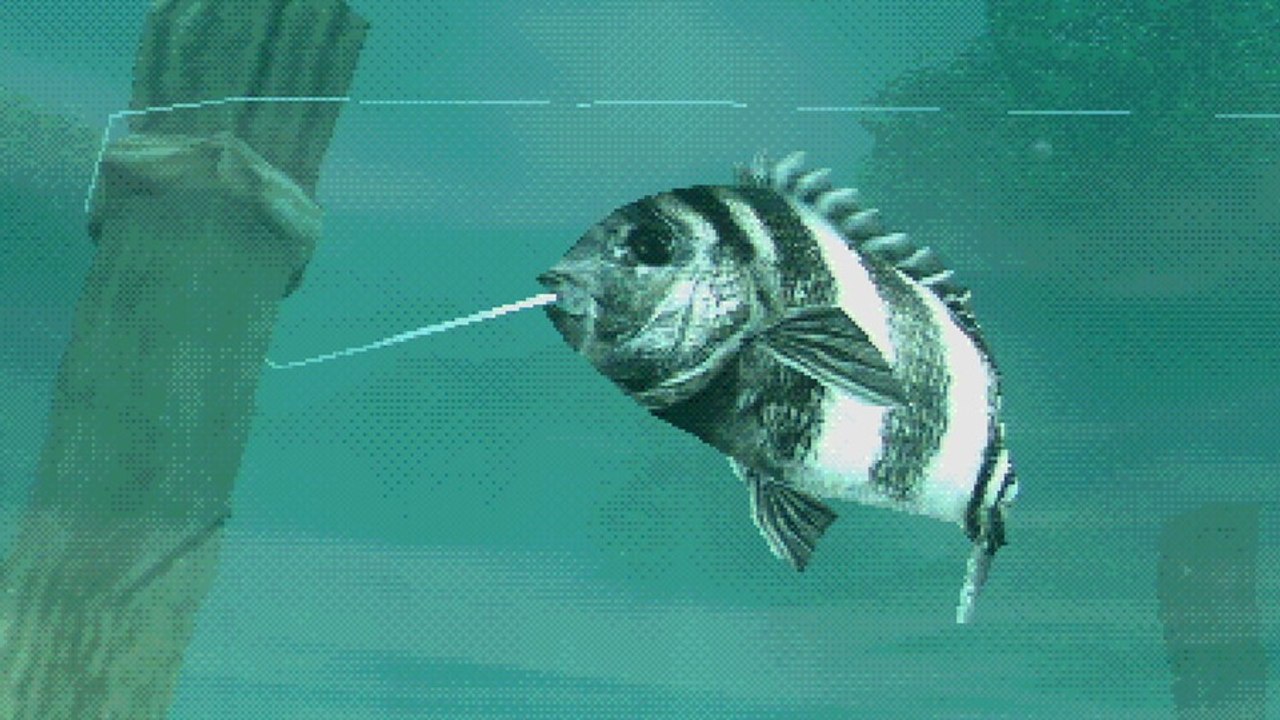 About Fishing: Diese Angel-Simulation ist eins der merkwürdigsten Spiele des Jahres