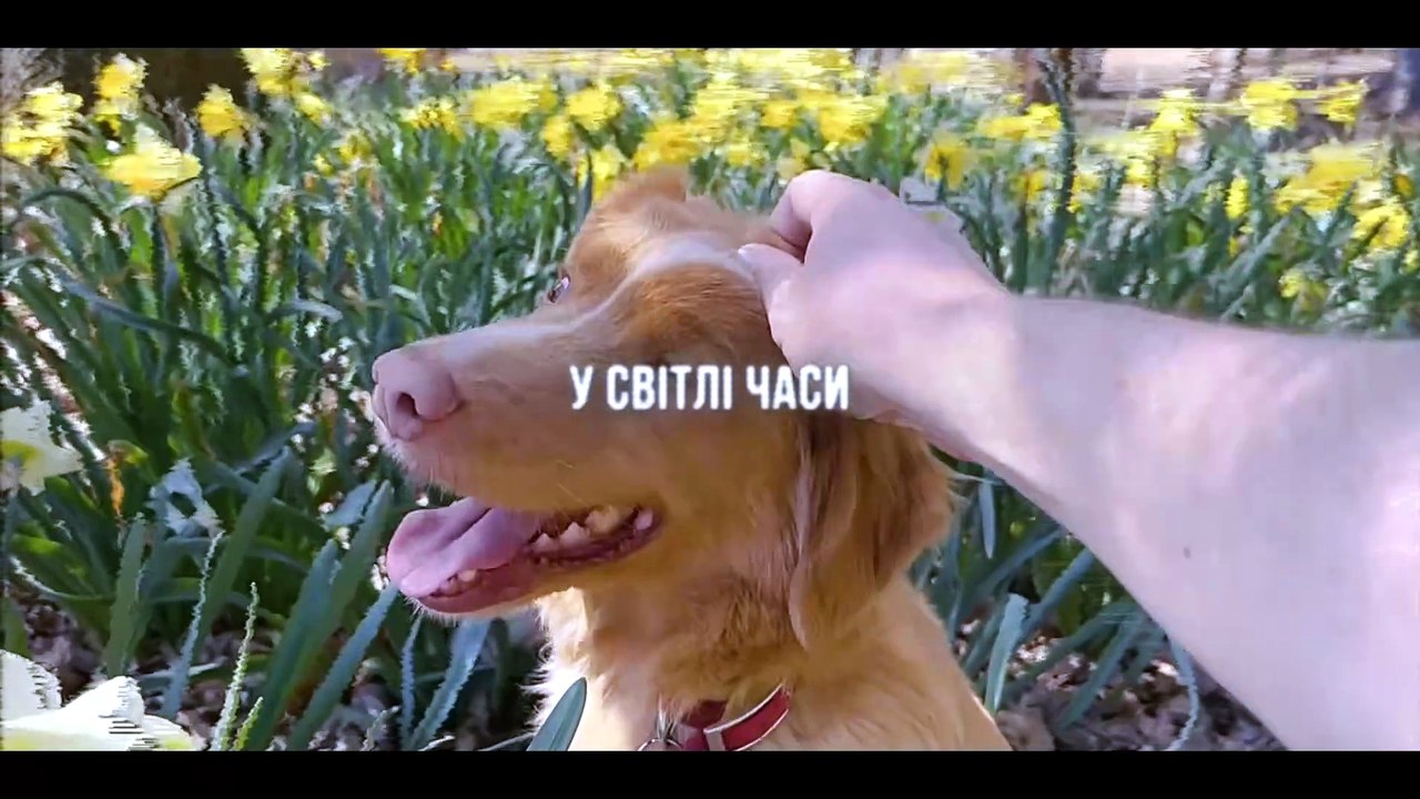 Good Boy Bande-annonce (UK)
