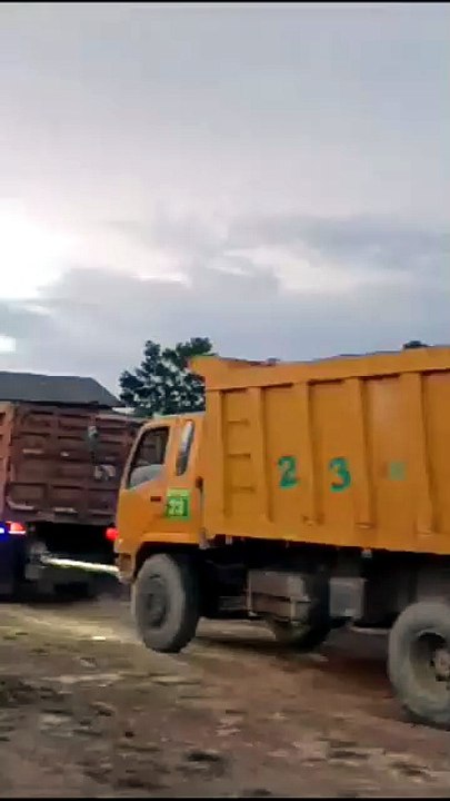 Heavy Duty Mining Trucks Operating in Kalimantan, Indonesia