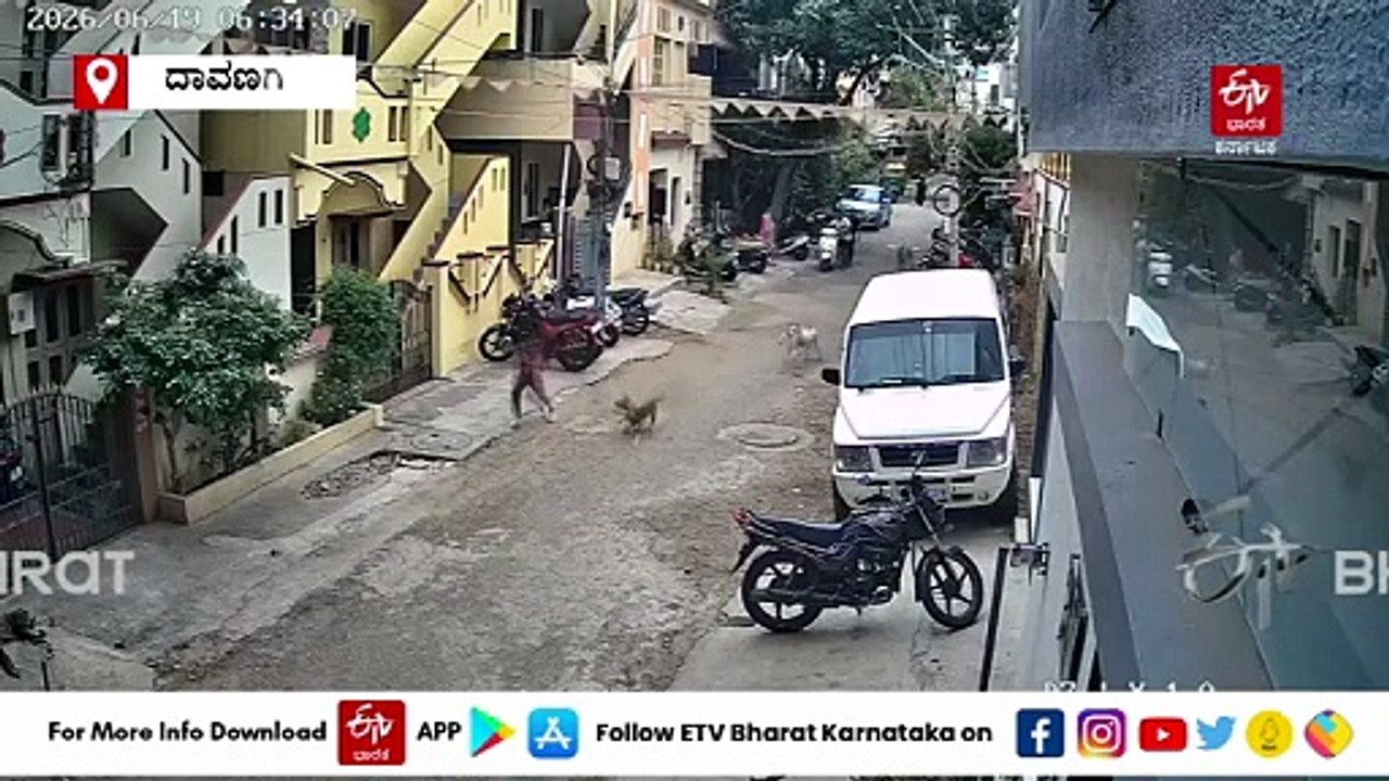 ದಾವಣಗೆರೆ: ಬಾಲಕಿ ಮೇಲೆ ದಾಳಿಗೆ ಯತ್ನಿಸಿದ ಬೀದಿ ನಾಯಿಗಳ ಗುಂಪು