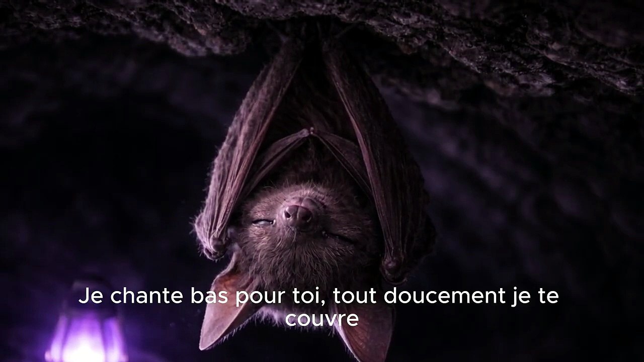 Berceuse - Et cela suffit pour maintenant