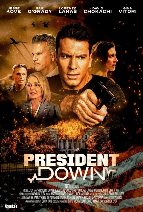 President Down (2025) Sub Indo