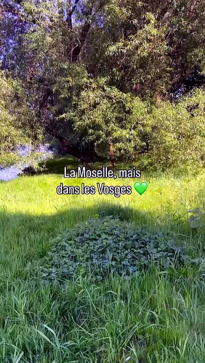 ☀️ 28_05_2026 La rivière de la Moselle, mais dans les Vosges 💚 Plusieurs emplacements ont un a.mp4