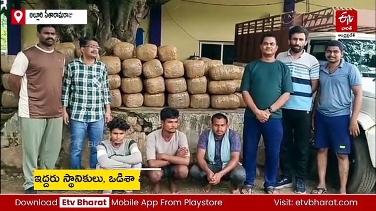 అల్లూరి జిల్లాలో భారీగా గంజాయి పట్టివేత - 1,125...