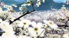 On The Edge Eps 12 End of S1 ,Anime Series [SUB ENG/ID]