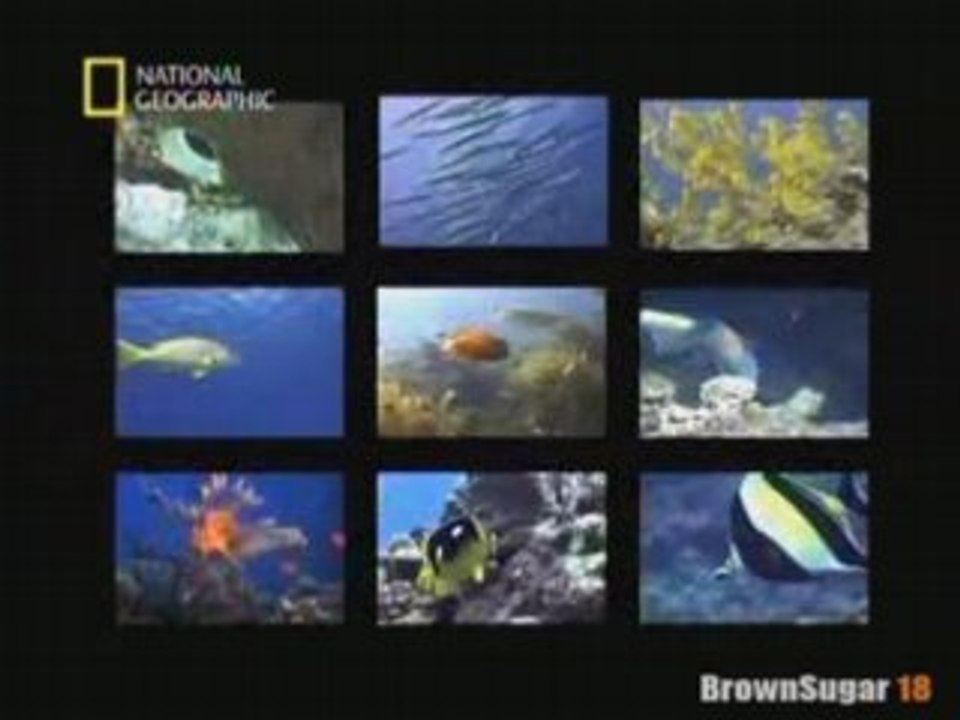 Darwin Avait-il Tort ? [Part.2]