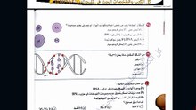 حل مسائل وتركيب DNA كتاب الامتحان 2026 | أحياء ثانوية عامة 🎯
