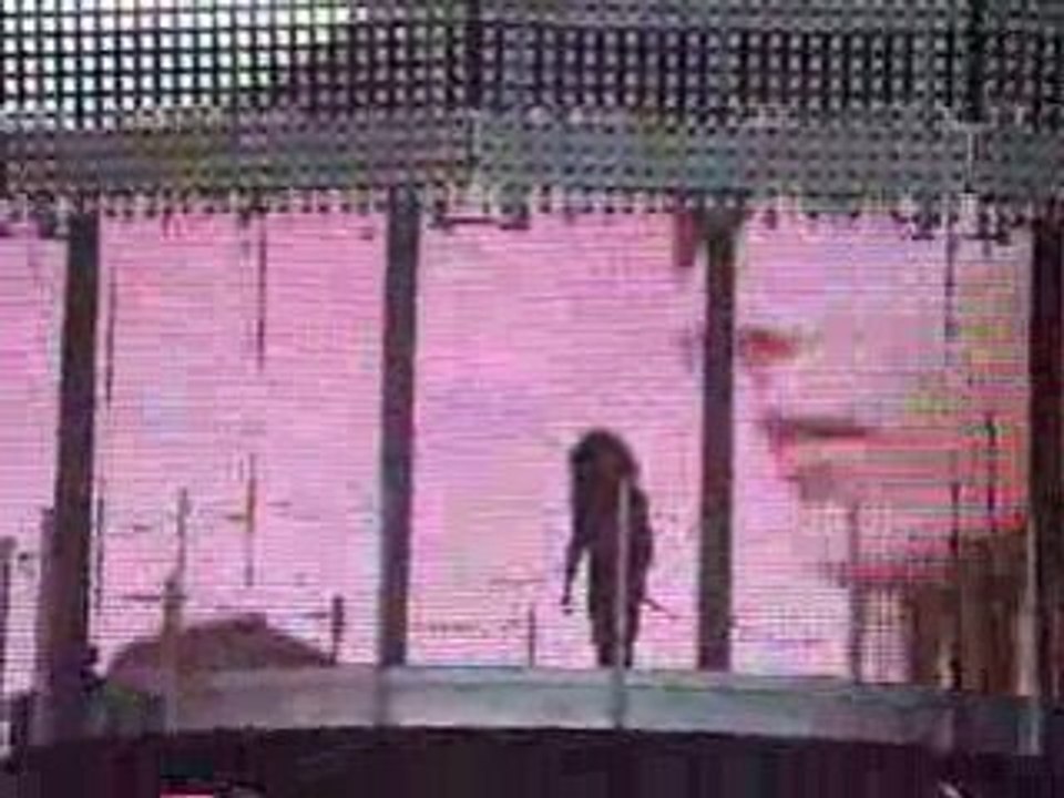Tokio Hotel Schwarz PDP