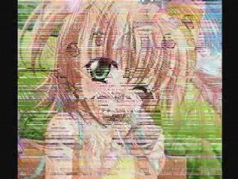Amv Manga