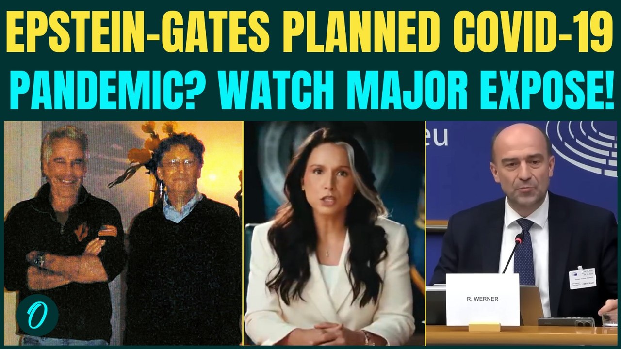 Tulsi Gabbard EXPOSES Nexus COVID-19 Cover Up |...