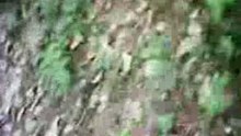 Dirt bike compil2