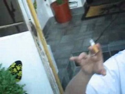 ptite aprem chez les beurnz anniv nowow