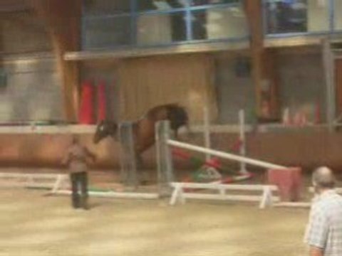 Concours modèles et allures Rodez 21 juin 2008