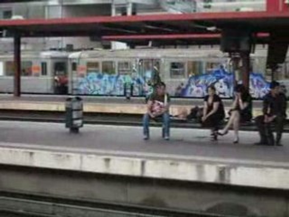 SDC15325