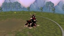 Knm_spore