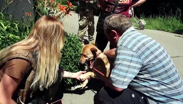 Ukrainian in tears as he's forced to flee without his pets