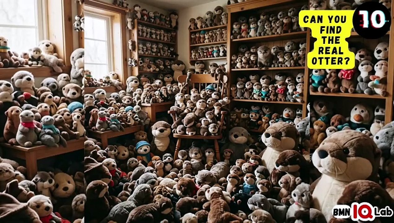 #YourEyesVsTheOtters 👀⚔️🦦 Can You Find the Real Otter? 🦦