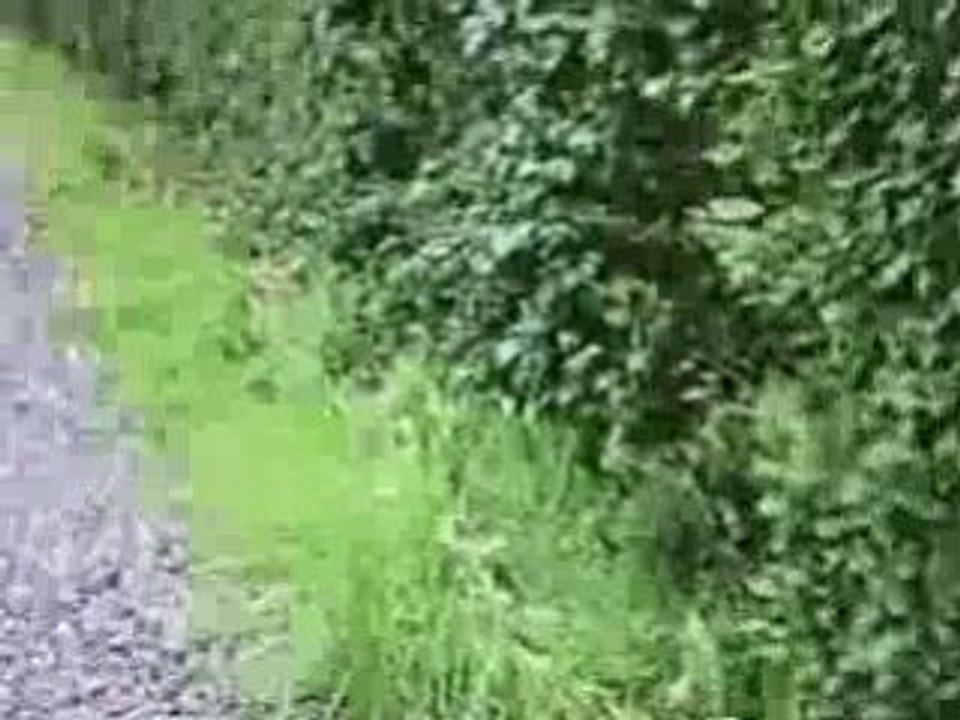 sortie vtt xc à Couvin