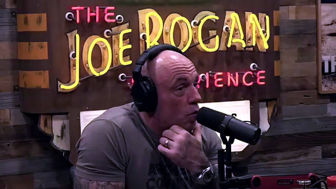 JRE MMA Show #181 with Justin Gaethje & Trevor Wittman | UFC Strategy, Training & Fight Mindset | Podcast Insight Zone